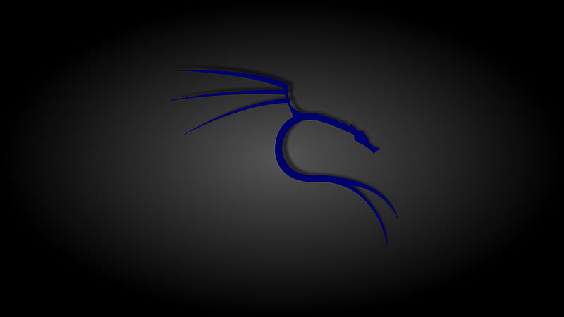 Black and Blue Kali Linux, Operating system, technology, Linux, Kali, HD wallpaper