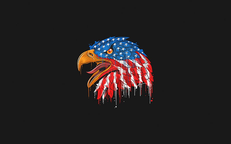 bald eagle, artwork, american symbols, american flag, hawk, minimal, creative, symbols of USA, eagle, HD wallpaper