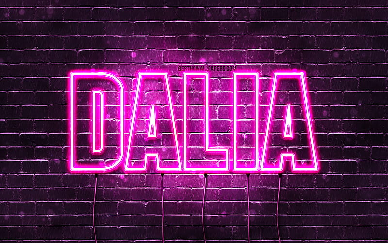 Dalia, , with names, female names, Dalia name, purple neon lights, Happy Birtay Dalia, popular arabic female names, with Dalia name, HD wallpaper