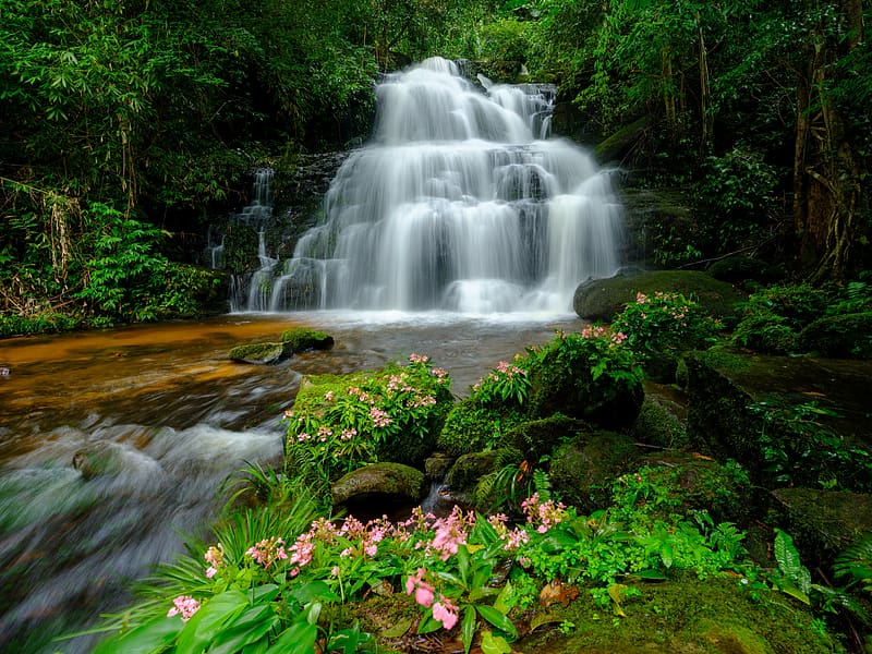 Man Daeng Waterfall, greenery, waterfall, forest, park, Thailand, Asia, exotic, grass, beautiful, wildflowers, summer, trees, HD wallpaper