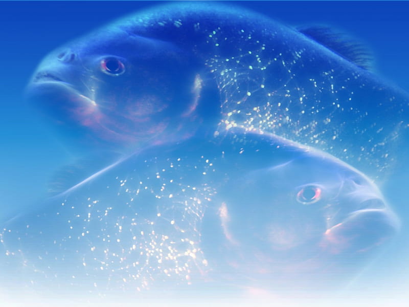 THE MAGIC FISH - Fish & Animals Background Wallpapers on Desktop Nexus  (Image 1505569)