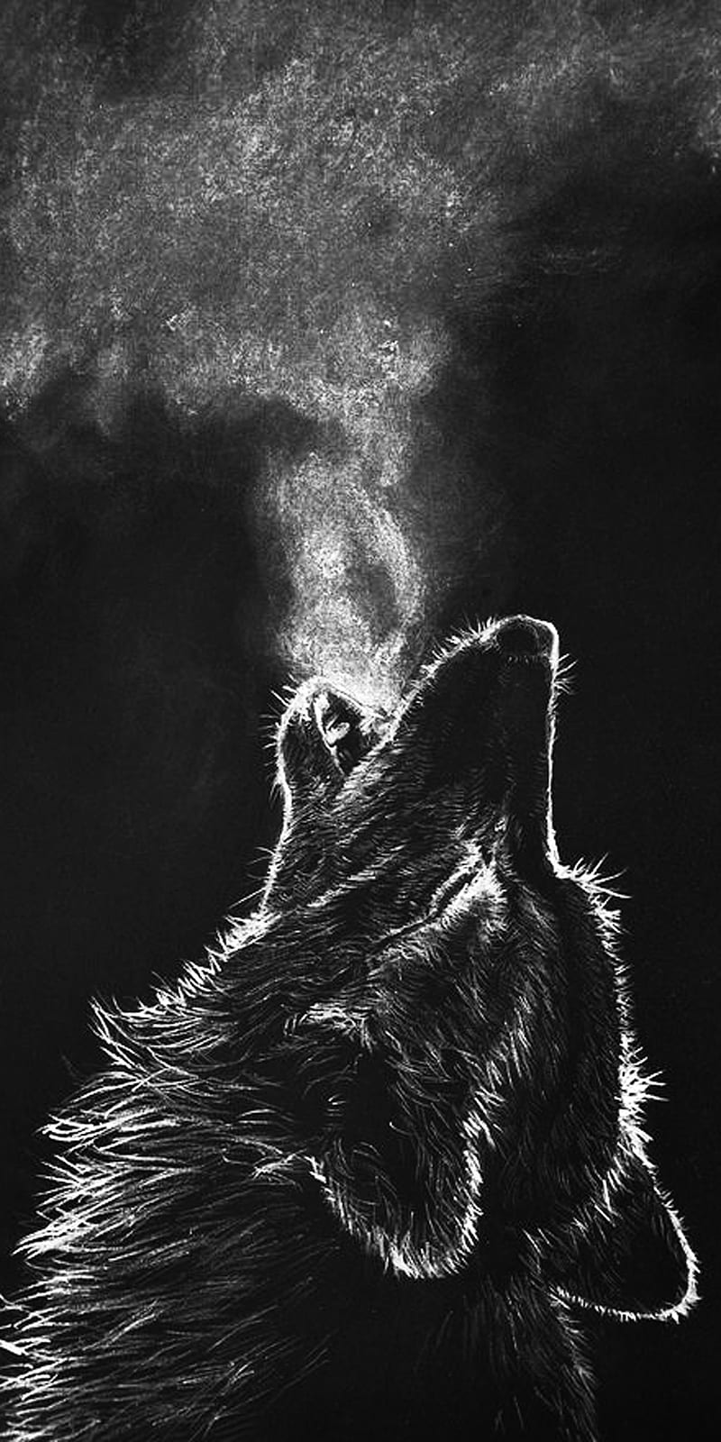 Wolf, black, breathe, howl, HD phone wallpaper