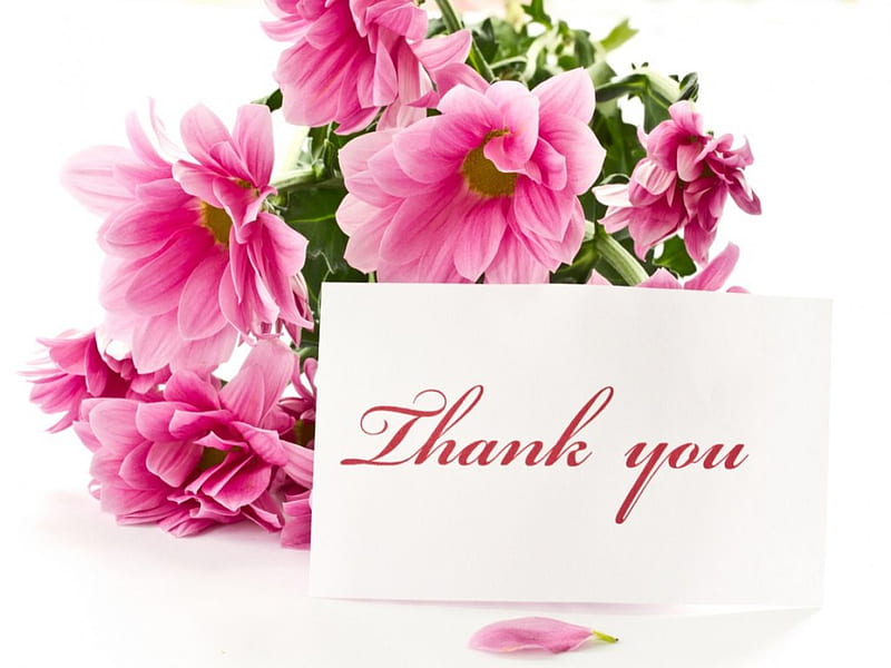 thank you with flowers, thank you, flowers, abstract, pink, card, HD wallpaper