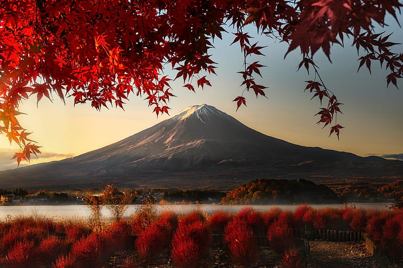Mount Fuji, japan, mountain, japan, autumn, nature, HD wallpaper
