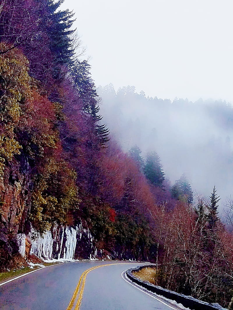 Fall foliage, colorful, fairytale, fantasy, fog, galaxy, heaven, misty, mountains, road, wet, HD phone wallpaper