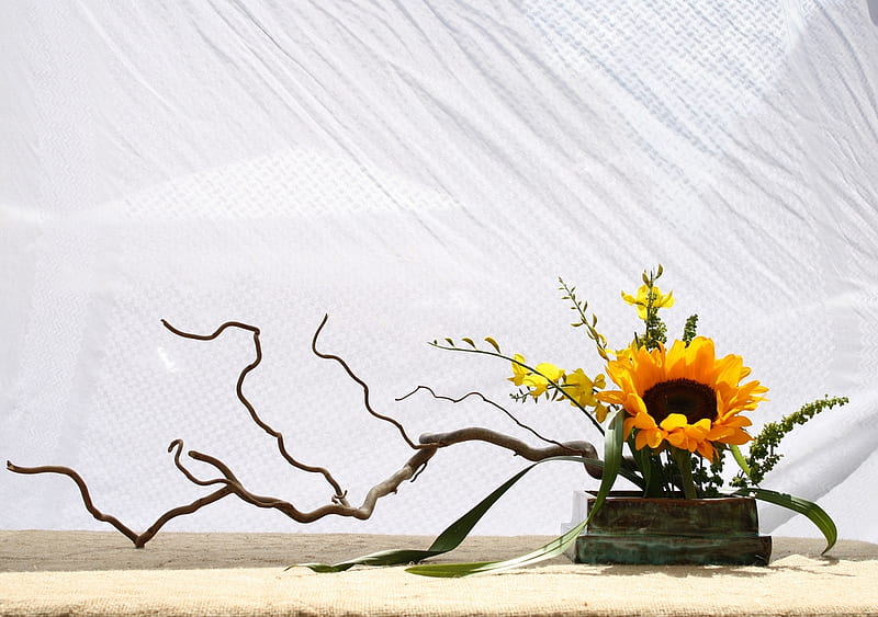 ikebana, still life, sunflower, bonito, HD wallpaper