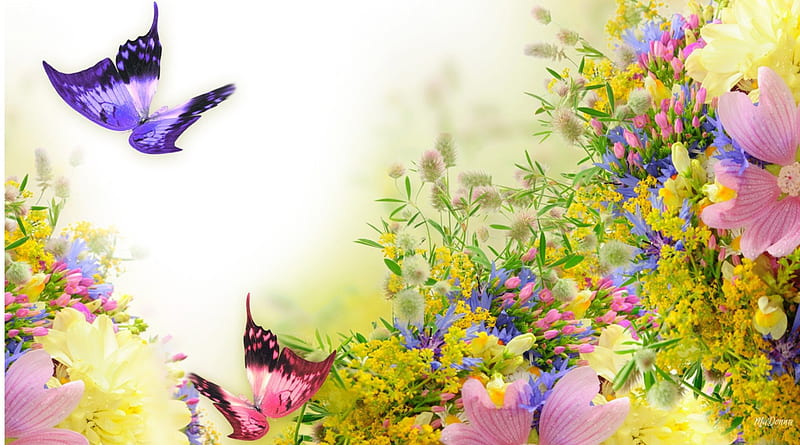 Soft Summer Flowers, wild flowers, fragrant, soft, butterflies, spring, lavender, summer, cosmos, pastel, pink, HD wallpaper