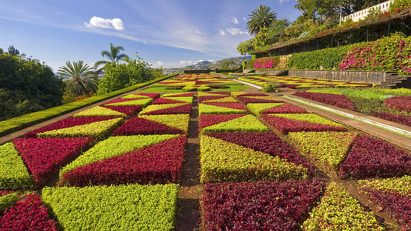 formal gardens,madeira potugal, pattern, red, spring, graphy, green, summer, flowers, beauty, garden, nature, HD wallpaper