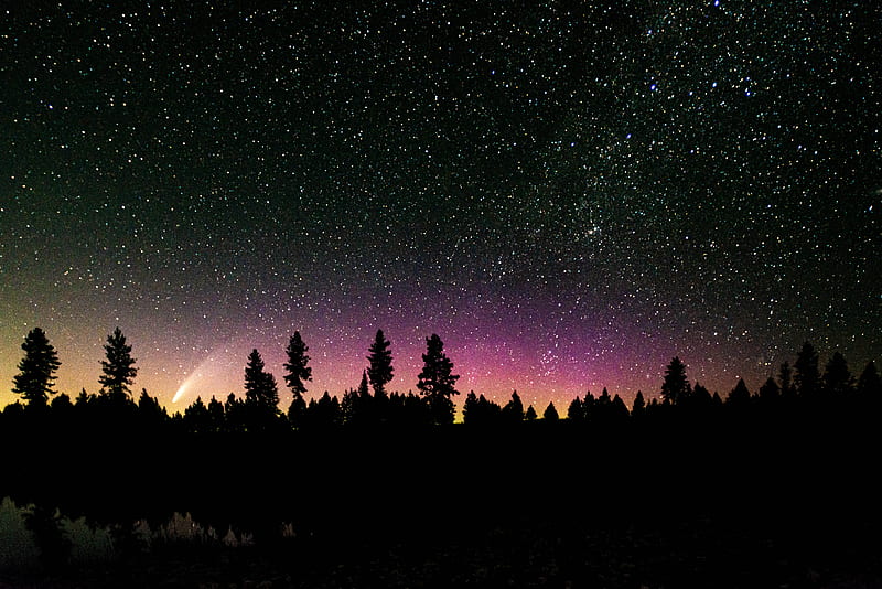 Comet In The Pines, space, stars, nature, HD wallpaper