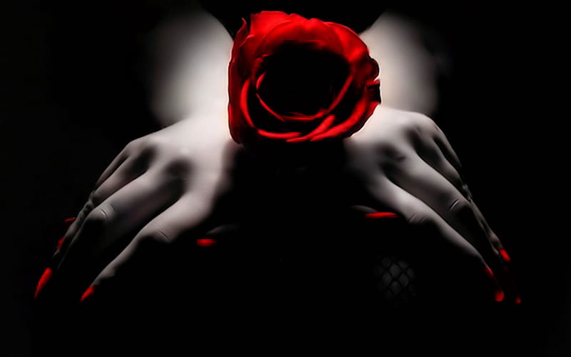 Black and white, red, rose, love, flower, flowers, roses, HD wallpaper |  Peakpx
