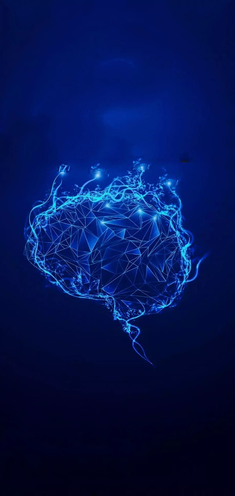 Brain, blue, earth, element, elements, jam, new, peru, space, warrior, HD phone wallpaper