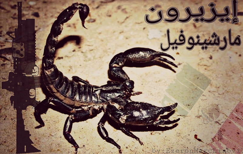 EZERON, alacran, arabe, armas, escorpion, guns, m4a1, marchinovil, scorpion, scorpions, HD wallpaper