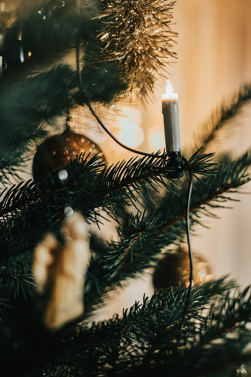 christmas tree, garland, decoration, christmas, new year, holiday, HD phone wallpaper