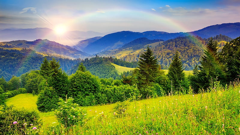 After the rain, hills, colorful, grass, greenery, bonito, rainbow, sky, valley, mountain, wildflowers, rain, meadow, HD wallpaper