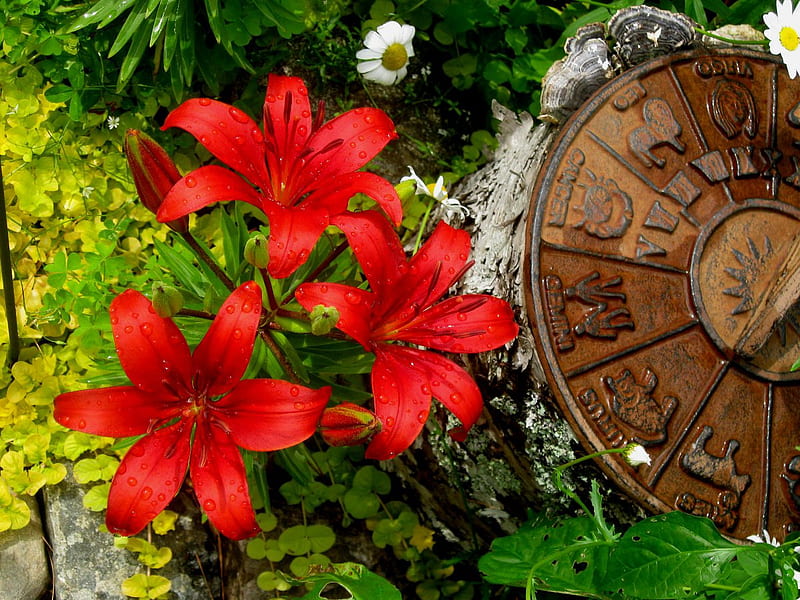Pagan Circle Garden, circle garden, flowers, sun dial, wheel of the year, HD wallpaper