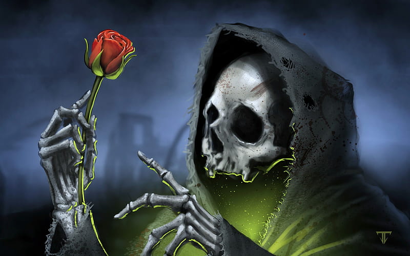 The Beauty Of Death, Grim Reaper, Rose, Skull, Fog, Fantasy, HD wallpaper