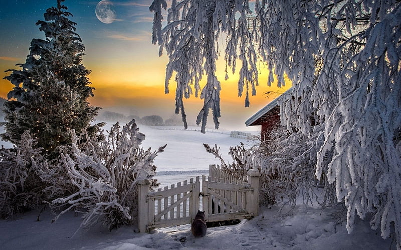 house, ate, sunset, winter landscape, fence, HD wallpaper