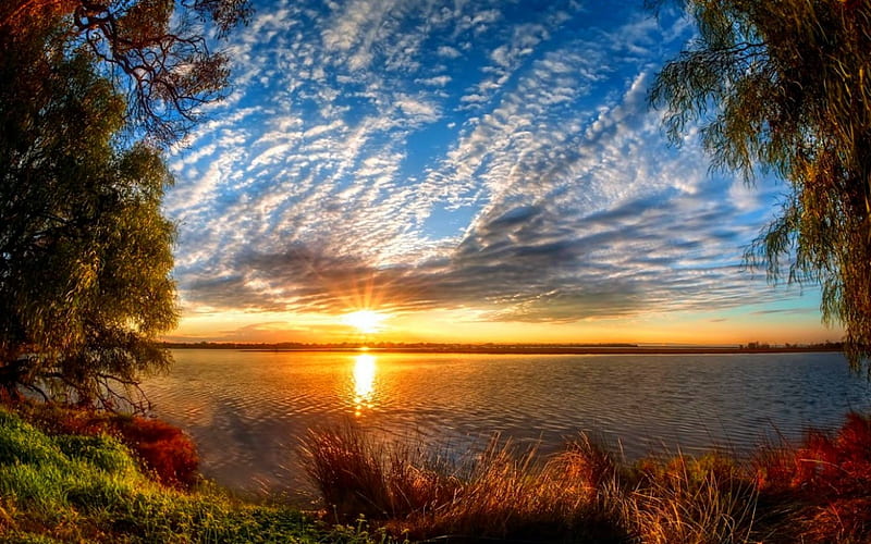 Sunrise At Peel Inlet, Australia, grass, bonito, estuary, trees, sky, clouds, sea, nature, sunrise, coast, HD wallpaper