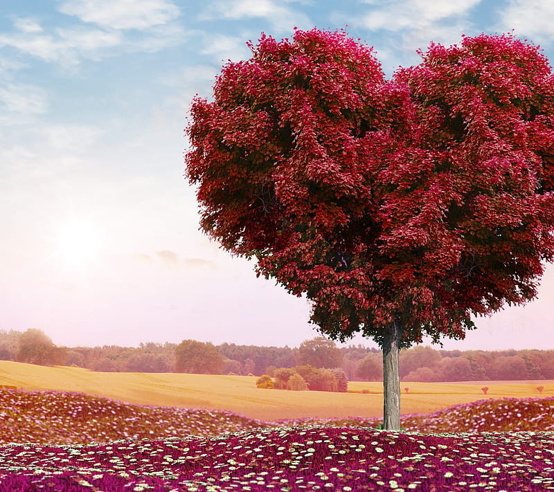 Heart Shaped Tree, landscape, leaves, love, nature, red, scenic, symbol, HD  wallpaper | Peakpx