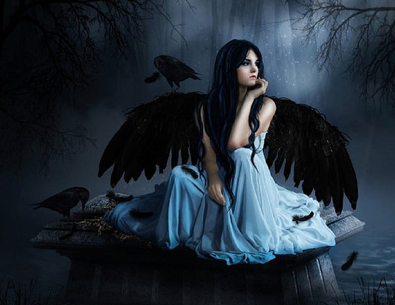 Fall to Damnation, dark angel, stars, wings, angel, black, bonito, lake,  fantasy, HD wallpaper | Peakpx