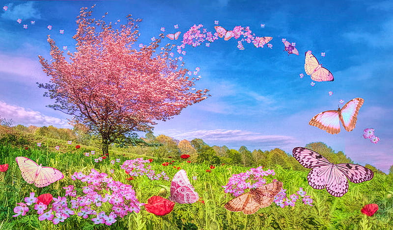 Springtime Colors, dogwood, tree, smoky mountains, flowers, blossoms, butterflies, meadow, HD wallpaper