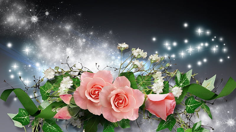 Pink Roses Blue Whispers, flowers, glow, twinkle, shine, flash, glitz, sparkle, scintillate, flowers, pink, light, radiate, flare, stars, burn, glitter, spring, combust, blaze, flower, summer, nature, roe, HD wallpaper