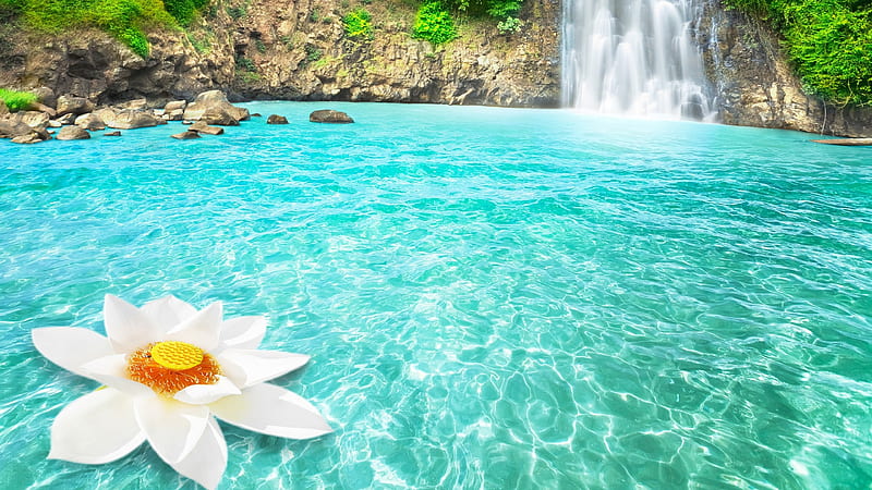 Waterfall Flowers, waterfall, flowers, nature, lotus, HD wallpaper | Peakpx