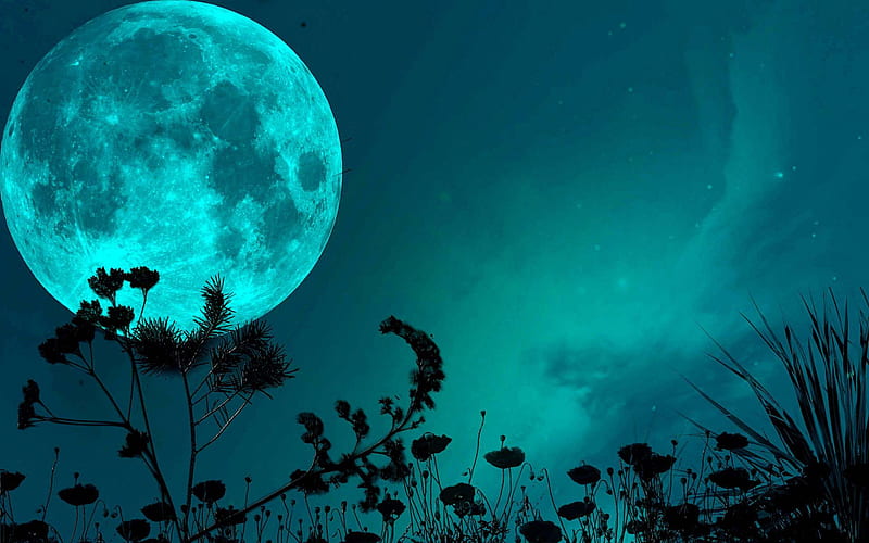 Teal moon, teal, full moon, weeds, flowers, stems, night, background, crater, nature, HD wallpaper