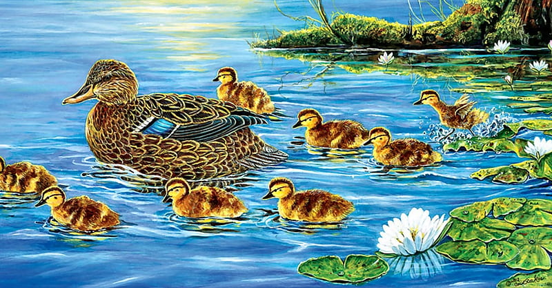 Duckling Parade F, art, bonito, illustration, artwork, animal, duck, Mallard, bird, avian, painting, wide screen, wildlife, ducklings, HD wallpaper