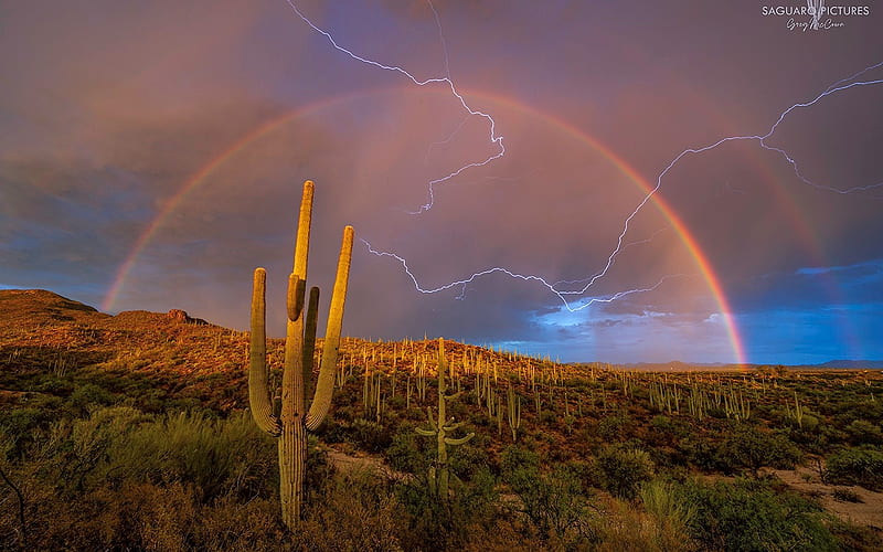 Desert in Arizona, USA, cactus, National Park, desert, lightning, America, rainbow, HD wallpaper