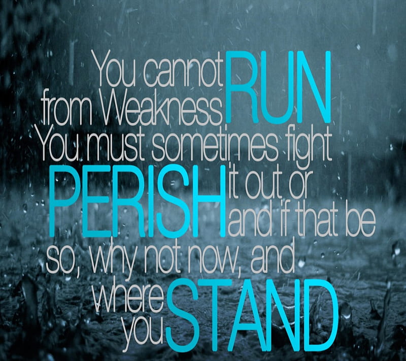 Where You Stand, life, new, perish, quote, run, saying, weakness, HD wallpaper