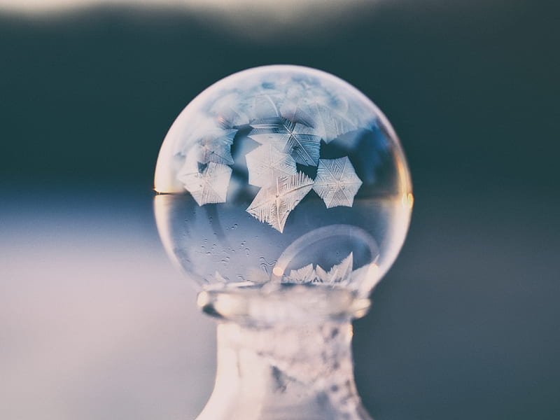 selective focus graphy clear snow globe, HD wallpaper