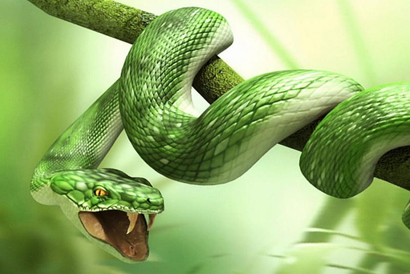Green snake, nice, green, branch, animals, snake, HD wallpaper | Peakpx