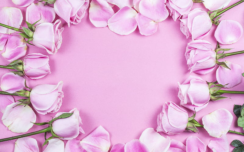 Frame of pink roses, pink background, heart frame, pink roses, pink flowers, HD wallpaper