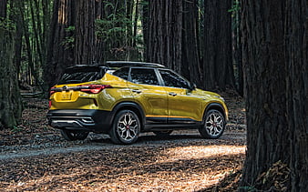 2021, Kia Seltos rear view, exterior, new golden Seltos, compact crossover, Korean cars, Kia, HD wallpaper