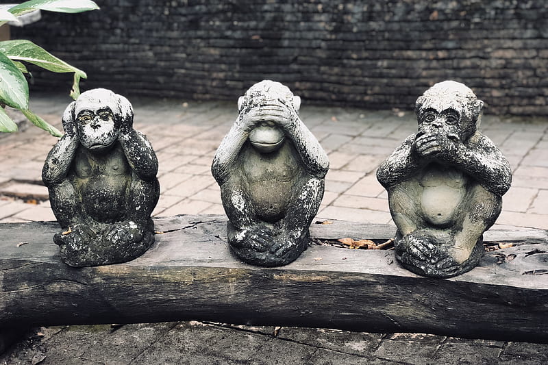 three wise monkeys statuette on log at daytime, HD wallpaper