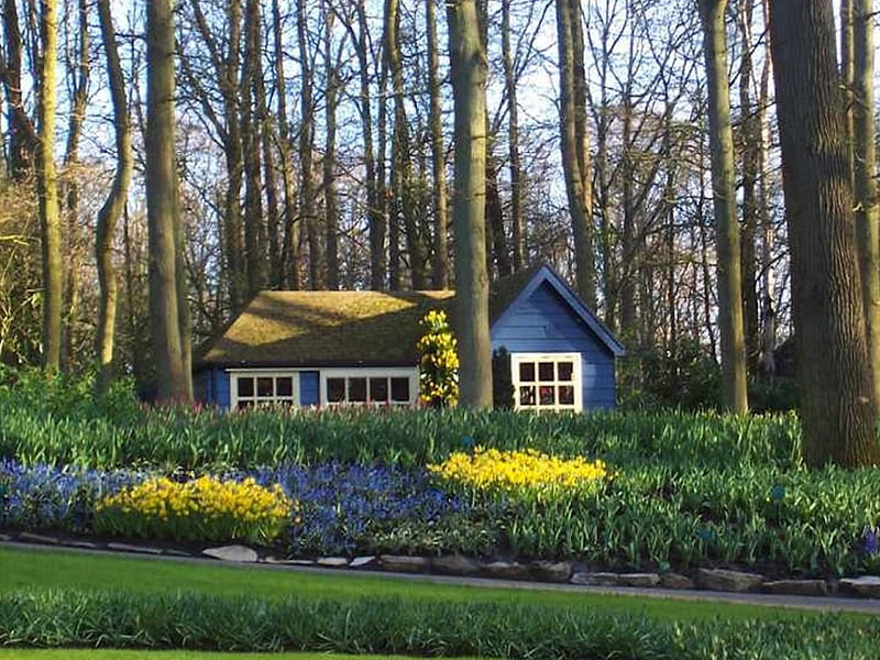 Sweet Little House in Holland, house, dutch, small, holland, yard, netherlands, tiny, garden, landscape, blue, HD wallpaper