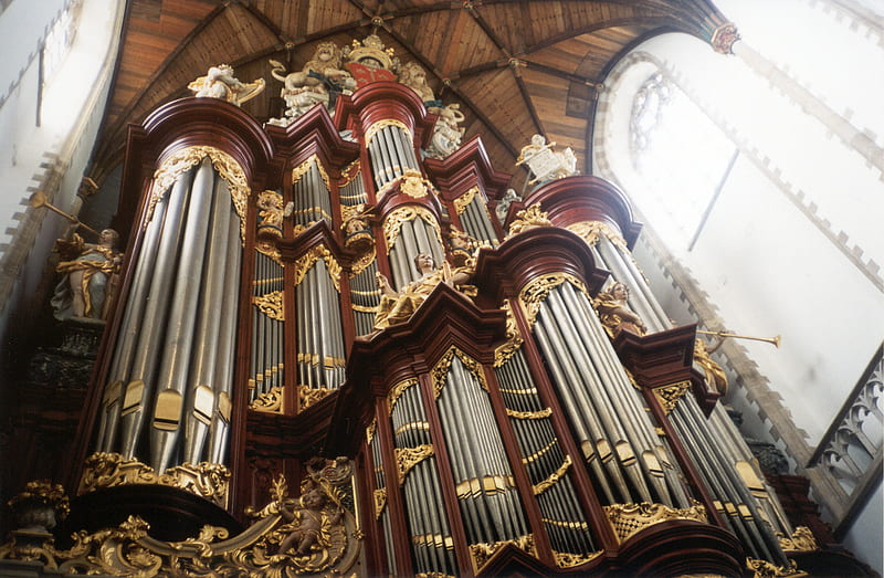 Organ St Bavo, Haarlem, Holland, ornaments, churchwindows, metal, goldpaint, pedal tower, pipes, organ, HD wallpaper