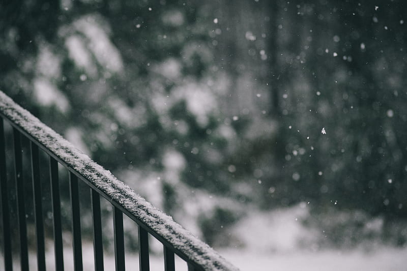 selective focus graphy of falling snow on barrier, HD wallpaper