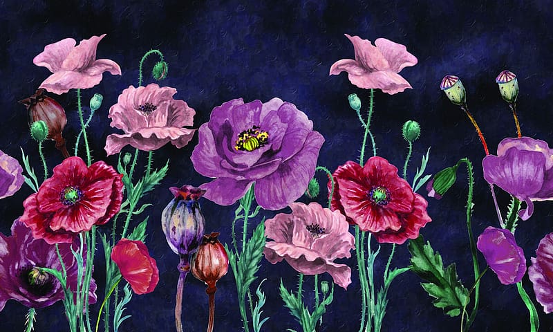 Poppies, colorful, mac, art, , summer, purple, pink, poppy, red, flower, texture, pattern, ppink, vara, HD wallpaper
