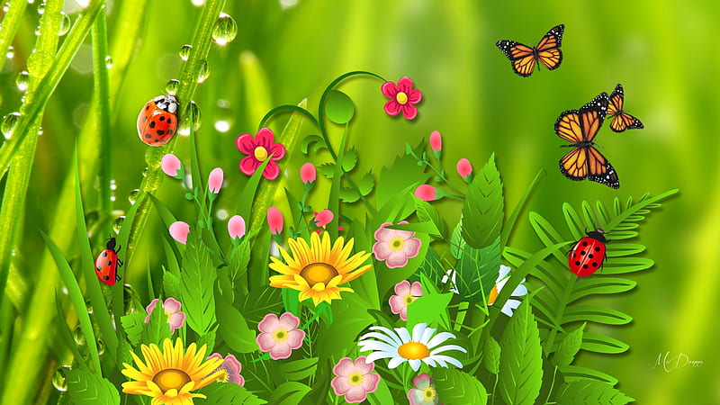 Colors of Summer, wild flowers, grass, fresh, butterflies, daisies, green, summer, flowers, garden, dew drops, ladybugs, Firefox Persona theme, HD wallpaper