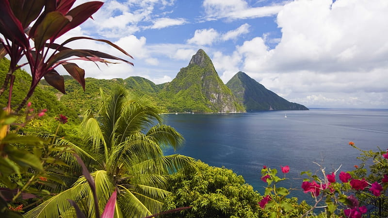 Saint Lucia Caribbean Island, ocean, Pitons, trees, sky, clouds, palms, Saint Lucia, water, mountains, flowers, island, Caribbean, HD wallpaper