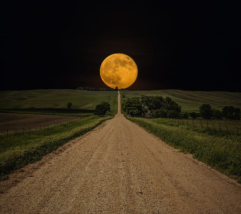 Moon Path, field, night, road, HD wallpaper
