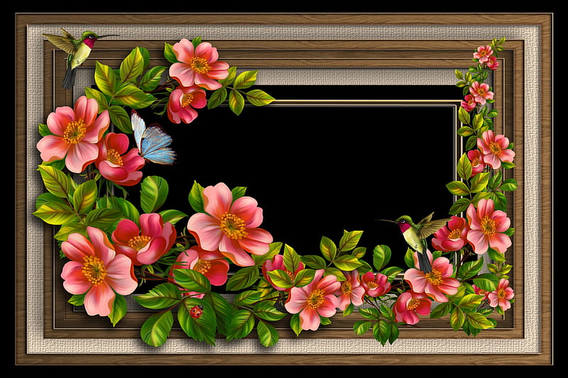 ✫Pretty Frame✫, lovely, frames, love four seasons, frame pretty, butterflies, softness beauty, attractions in dreams, creative pre-made, stock , curling vines, weird things people wear, clipart, flowers, humming birds, butterfly designs, HD wallpaper
