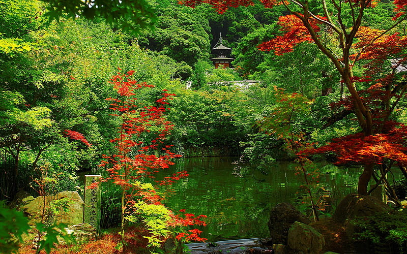 kyoto garden Beautiful-Japan Landscape, HD wallpaper