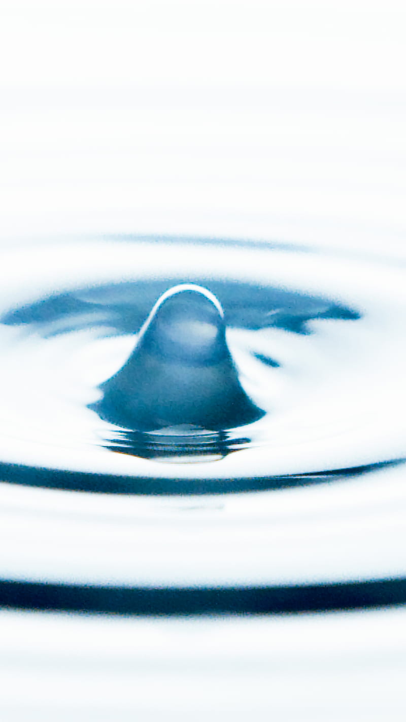 Water Drop in Close Up graphy, HD phone wallpaper