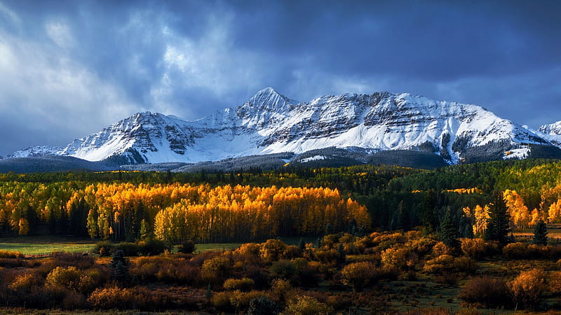 Fresh fall snow in southwestern Colorado, aspens, clouds, trees, colors, autumn, landscape, sky, usa, HD wallpaper