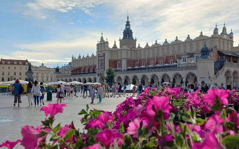 Market in Krakow, Poland, Krakow, flowers, Poland, market, square, HD wallpaper