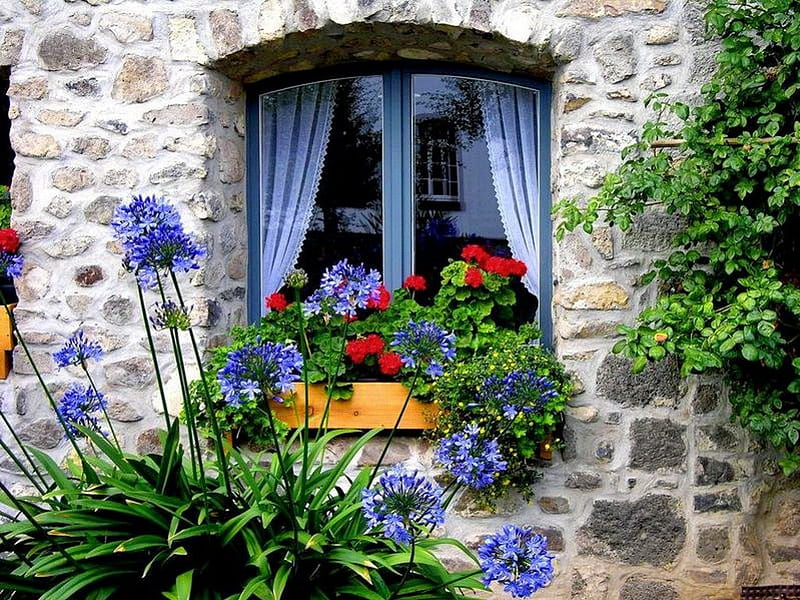 Home, sweet home, pretty, colorful, house, lovely, window, cottage, fragrant, fresh, home, bonito, curtain, sweet, stones, nice, summer, flowers, HD wallpaper