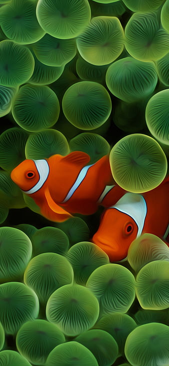 Cá hề Nemo: Chiêm ngưỡng vẻ đẹp ngộ nghĩnh, đáng yêu của cặp cá hề Nemo và Dory trong bức ảnh lung linh này. Không chỉ để làm hình nền điện thoại, nó còn mang đến cho bạn cảm giác vui vẻ và năng động.